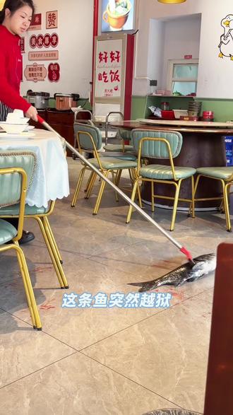 Vlog028|小狗卖艺求肉干,但其实这集主打美酒相伴。
#我就这样开启2026 #在拍一种很新的vlog #沉浸式#养狗日常 #创作者扶持计划