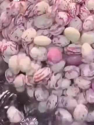 #雀蛋豆#优质农产品 #芸豆#农村美食 #贵州特产