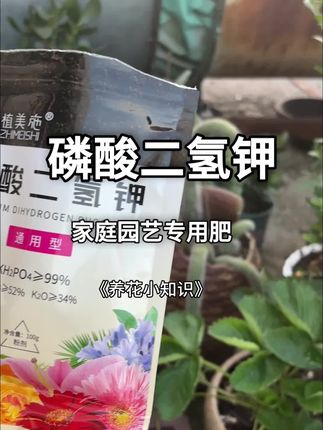 养花界的万能肥磷酸二氢钾#养花 #花卉绿植 #养花技巧 #好物推荐 #花肥