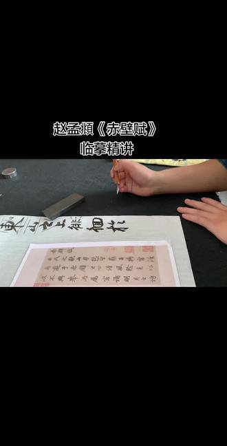 赵孟頫《赤壁赋》临摹精讲#三都书法 #书法工作室 #书法日常