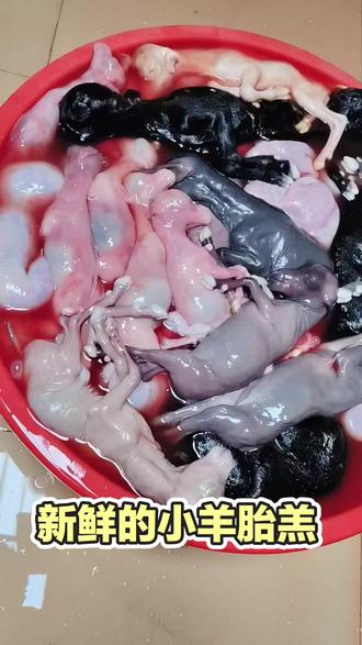 【羊胎盘·小胎羊的功效与作用价值】
1.滋补身体、增强体质 2.温补脾胃 3.补肾壮阳 4.补肝明目 5.调理肾虚 6.补充营养 7.美容养颜 8.改善消化不良 9.促进生长发育 10.还有其他功效。