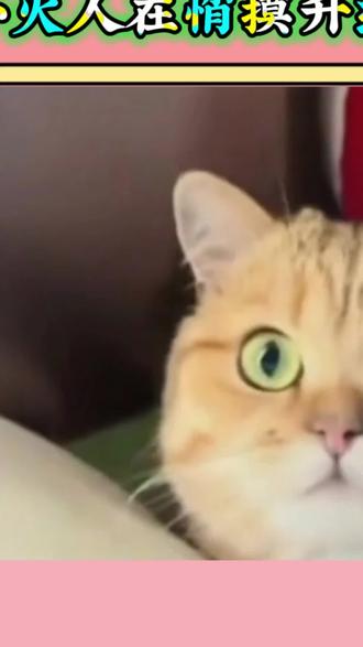 小火人居然悄摸升级#多闪app #小火人AI聊天 #多闪