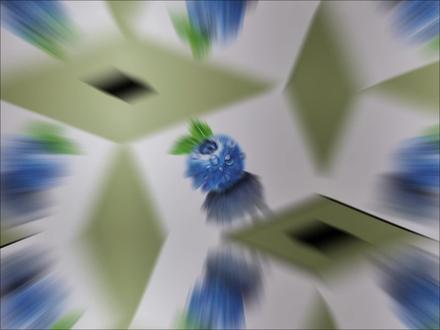 彩铅|看!蓝莓的画法!
蓝莓物语 ·:人间至味,平凡的珍贵
蓝莓很小,小到常被忽略,却藏着人间至味。
它不喧哗,不夺目,静静长在枝头,把所有精华,都浓缩在小小的果肉里。正如平凡生活里的小确幸:一杯加了蓝莓的酸奶,一个阳光正好的午后,一份不张扬的牵挂与陪伴。
它告诉我们:珍贵从不在大小,而在于用心与纯粹。最动人的幸福,往往藏在这些触手可及的、酸甜温柔的日常里。
#晒晒你的绘画作品 #手绘 #蓝莓#画画 #日常vlog #一张图证明你在学习美术史