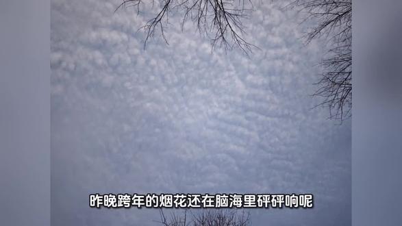 烟花后的天空 烟花后的天空,如云朵般清新,留下你们年后的天空#河北烟花爆竹禁放 #河北烟花 #年后的天空