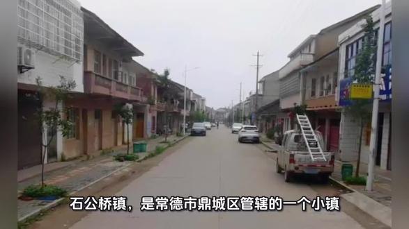湖南常德这个4万人的镇,凭一座古桥和300亩猕猴桃富了