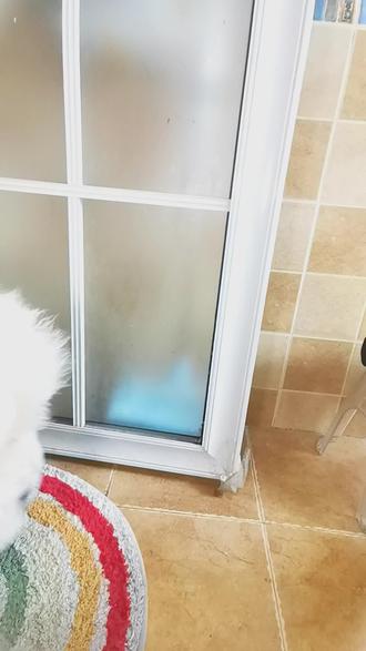 养狗人的快乐~:#给宠物洗澡 #狗洗澡前后差距 #松狮犬