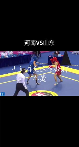 十五届全运会散打比赛河南对山东