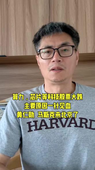 今天股市算力芯片等科技股大跌原来是黄仁勋和马斯克来了#苏栋梁#科技股#股民交流#黄仁勋#马斯克