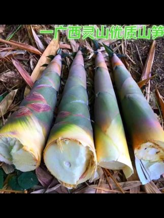 广西竹笋片酸竹笋原味竹笋灵山特产清水竹笋农家咸菜250g/500g袋#笋片#竹笋片#竹笋