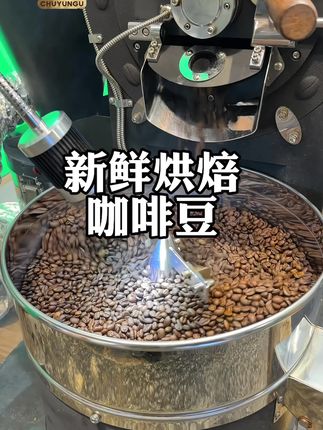 咖啡豆为什么要选择新鲜烘焙的?! 因为新鲜咖啡豆风味更饱满,新鲜咖啡豆风味物质未流失,能释放更丰富香气,避免产生酸涩、呆板的味道哦#咖啡烘焙 #咖啡豆 #初云谷咖啡 #云南小粒咖啡