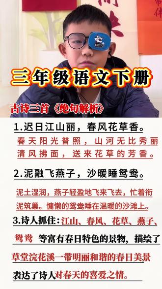 #生活服务热点中心 #三年级下册 三年级语文下册古诗三首绝句解析#每天跟我涨知识 #知识分享@DOU+上热门 @抖音小助手 @DOU+小助手