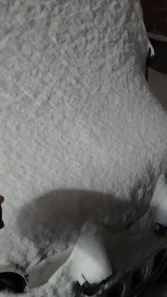 感谢妈妈的友情出演😘#霉豆腐 #搞笑 #霉豆腐制作 #雪 #雪地里撒欢