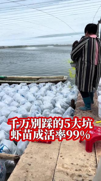 放苗的五大坑避开,虾苗成活率提高99%#水产养殖 #南美白对虾养殖 #罗氏沼虾养殖 #花虾养殖 #花虾养殖