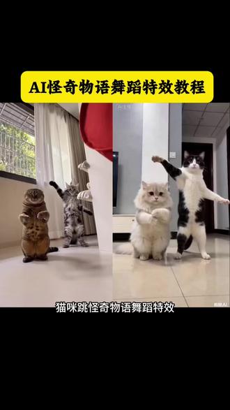 AI怪奇物语舞蹈特效生成入口教程! #AI怪奇物语舞蹈教程
怪奇物语舞蹈小猫咪
怪奇物语舞蹈小猫咪合拍
怪奇物语舞蹈小猫素材
怪奇物语舞蹈小猫咪指令
怪奇物语舞蹈小猫咪表情包
怪奇物语舞蹈小猫咪
怪奇物语舞蹈小猫咪ai提示词
怪奇物语舞蹈小猫咪教学
怪奇物语舞蹈绿色小猫怎么弄
怪奇物语舞蹈小猫咪教学视频
怪奇物语跳舞小猫ai
怪奇物语跳舞小猫原视频
怪奇物语跳舞外星猫怎么拍
怪奇物语ai跳舞视频
#怪奇物语跳舞小猫ai
怪奇物语舞蹈原版
怪奇物语跳舞小猫合拍
猫ai跳舞一键生成入口
怪奇物语小猫舞
#小猫跳舞ai #剪映
怪奇物语跳舞小猫出处
怪奇物语舞蹈挑战
怪奇物语舞蹈挑战教程
怪奇物语舞蹈教学视频
怪奇物语舞蹈原版
怪奇物语舞蹈特效
怪奇物语舞蹈原视频
#怪奇物语舞蹈ai
怪奇物语舞蹈婴儿素材
怪奇物语舞蹈挑战
怪奇物语舞蹈教学