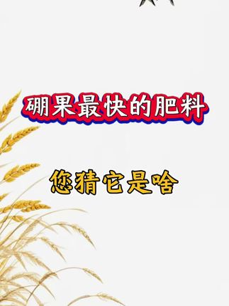 膨果最快的肥料 您猜它是啥#农业 #三农 #农业种植