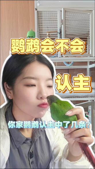鹦鹉认主信号你家鹦鹉中了几条呀!#一只可以给你情绪价值的鹦鹉 #创作者中心 #创作灵感#养鹦鹉必看#鹦鹉认主