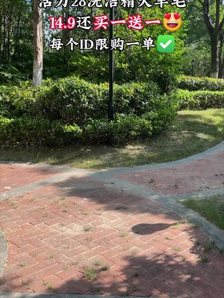 活力28柠檬洗洁精大羊毛来了,14.9到手整整两大瓶,真是便宜又好用#厨房好物 #超便宜超划算