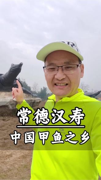 常德汉寿是中国甲鱼之乡。#常德 #汉寿 #汉寿甲鱼 #真空回流焊 #焊接大王