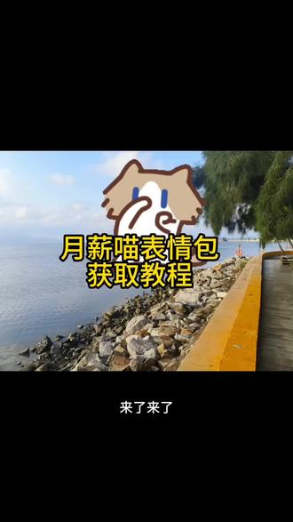 小猫表情包保存到微信教程来了小猫捂鼻子扇空气表情包微信白手小猫表情包微信关键 #剪映 #小猫表情包 #月薪喵 小猫表情包微信怎么搜