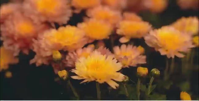 线性旋转卡点,教程来了,有手就会#剪辑教程#卡点#剪辑干货#零基础学剪辑#剪映视频制作