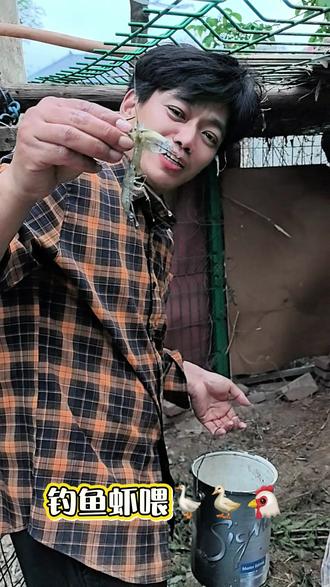 来看看我家小院的鸡鸭鹅都吃什么呀?吃的比我都好,高蛋白营养餐🦐🐟#农村生活现实记 #改造小院 #农村生活