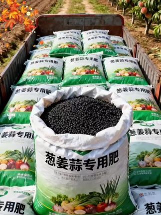 葱姜蒜专用肥:护苗促长,种出鲜嫩品质 想让葱姜蒜长势旺、口感佳?这款葱姜蒜专用肥超合适! 针对葱姜蒜生长需求调配,能为作物提供充足养分,助力根系发达、茎叶粗壮,减少长势弱的问题。无论是家庭小菜园种植,还是农户批量培育,都能轻松使用。 用它养护葱姜蒜,不仅能让作物鲜嫩有滋味,还能为日常烹饪添份好食材,轻松收获自然好口感! #有机种植 #优质农产品 #农业种植 #三农种植 #强烈推荐