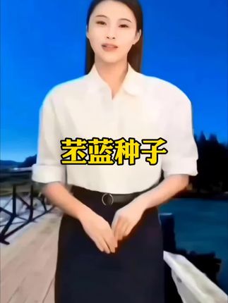 给大家推荐一款#苤蓝种子#蔬菜种子