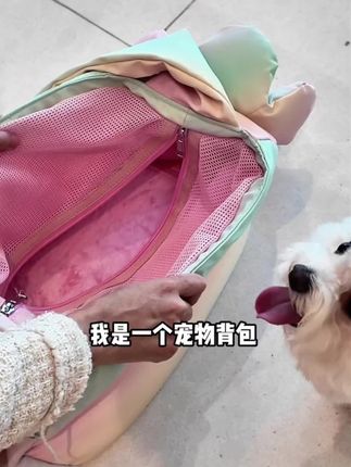 它它幻彩猫狗外出包便携单肩斜挎包轻便高颜值宠物包#小型犬 #萌宠必备 #宠物狗狗 #宠物用品 #比熊