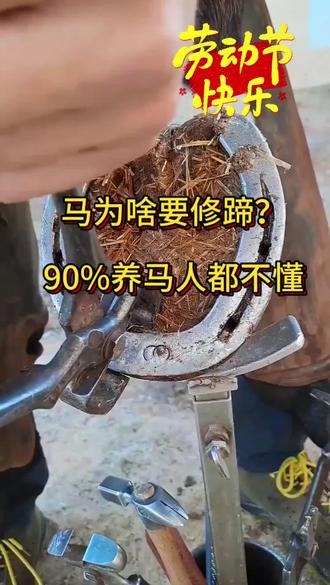 野马满山跑不用修蹄,为啥家马必须修蹄?真相颠覆认知#养马知识#马粮源头厂家#修蹄