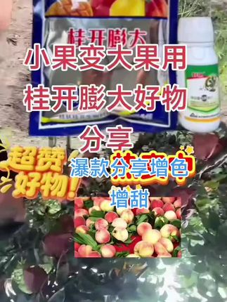桂开膨大+复硝膨果组合,增产叶面肥#抖音推广 #每天分享#好物推荐🔥
