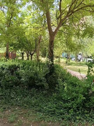 #山茶花洗发水沐浴露 #大瓶装 发两大瓶 这价格也太划算了吧!9.9到手两大瓶!太实惠了!福利价 去油蓬松柔顺去屑