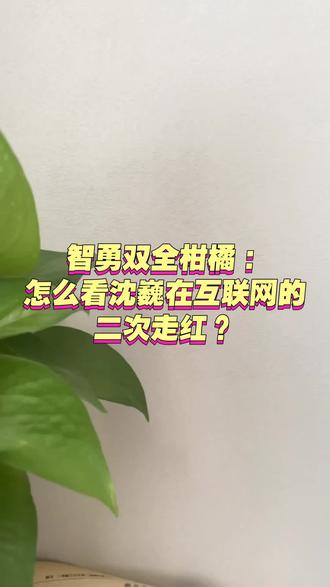 智勇双全柑橘:
怎么看沈巍在互联网的
二次走红?#沈巍#宋庄