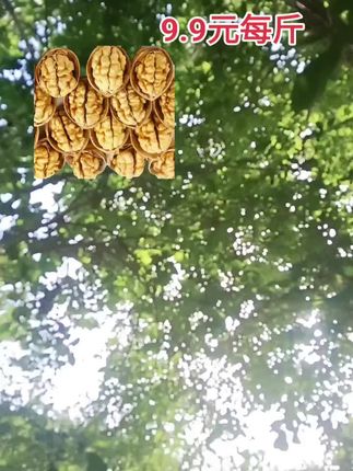 好物推荐#纸皮核桃