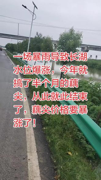 一场暴雨导致后港到处都被淹了#暴雨后的后港
