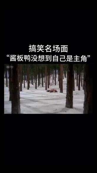 花式整活之酱板鸭 酱板鸭名场面#经典#离谱酱板鸭#玩梗