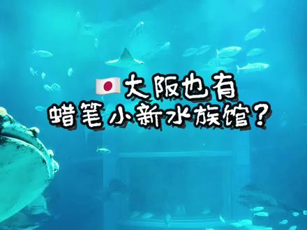 大大大大鲸鲨、还有不讲卫生的企鹅先生
#海游馆#鲸鲨#企鹅#蜡笔小新