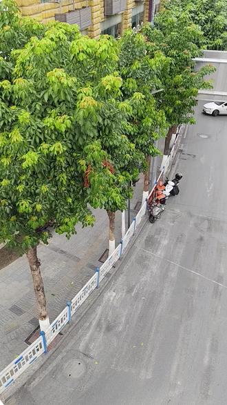 朋友们,再告诉你们一个消息,尚熙台门口的红绿灯斑马线也取消了哈,保险公司门口那个目前还可以通行😁#斑马线 #交通出行 #敏敏在巫山