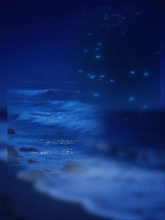 :封存斯里兰卡的回忆
#纸飞机 #煊赫 #杨煊 #汤君赫