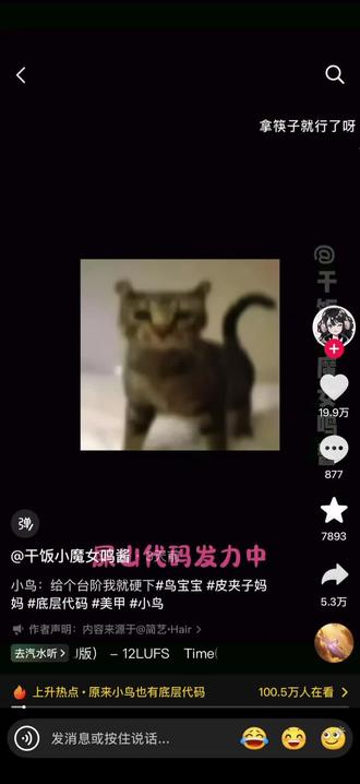 空手套绿鸟 比猫还简单的动物出现了#原来小鸟也有底层代码 #小太阳鹦鹉