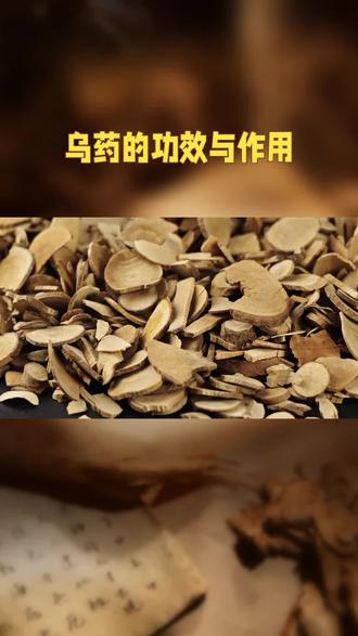#乌药的功效与作用#中药知识科普 #传统中药文化
