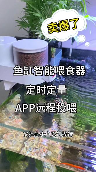 放假过节出差没人帮忙喂鱼,手机控制的智能喂食器,定时定量帮你喂鱼!#自动喂食器 #水族 #观赏鱼 #它乐喂食器 #轻松养鱼