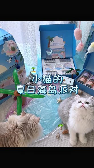Vlog|属于小猫的夏日海岛派对🏝️ #猫咪vlog #养猫日常 #铲屎官日记 #日常vlog #猫咪