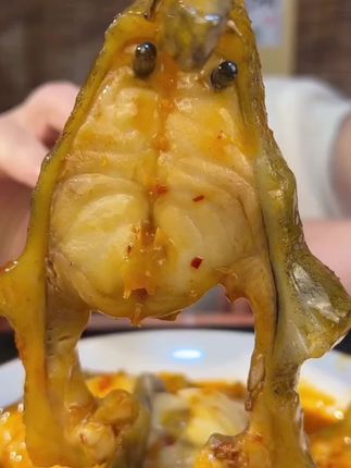 #海参斑 #快来一起尝个鲜