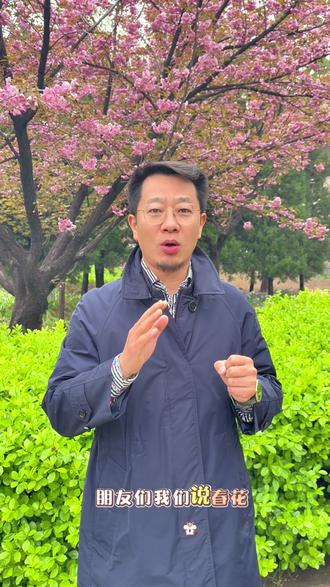 花的背后 #花 #春天 您好