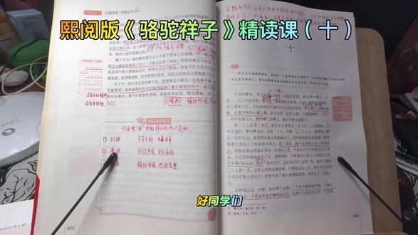 《骆驼祥子》精读(十)