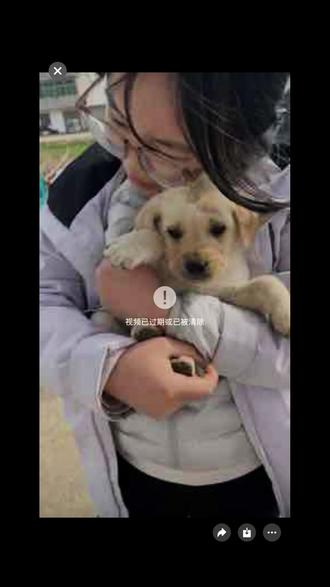 希望你下辈子 可以健康平安长大#小狗崽 #宠物