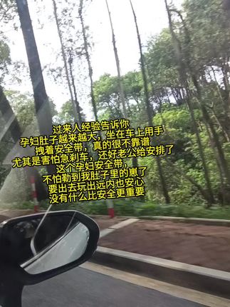 #孕期 避免不了外出产检或者办事情,#孕妇出行安全 要重视!一旦有个紧急刹车后果不堪设想,细心的老公给我安装了#孕妇专用安全带 出行也更放心了,再也不怕勒到我的崽了#怀孕 #安全出行