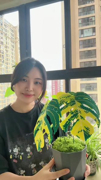 拼豆绿植🪴新手友好~ #龟背竹拼豆 #我染上拼豆啦 #拼豆 #diy创意手作 #拼豆入门指南