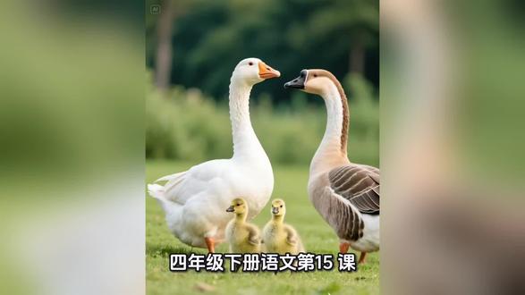 四年级下册语文第15课
鹅
作者丰子恺