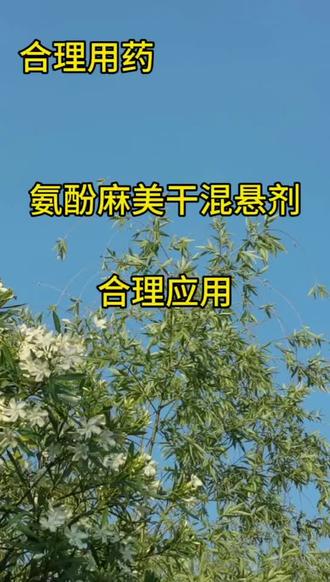 氨酚麻美干混悬剂的合理应用#合理用药